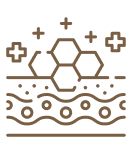 Dr. Somas Signature Skin Regeneration